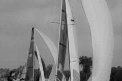 IMG_7076-3
