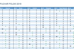 Puchar Polski klasy Nautica 450 - 2019